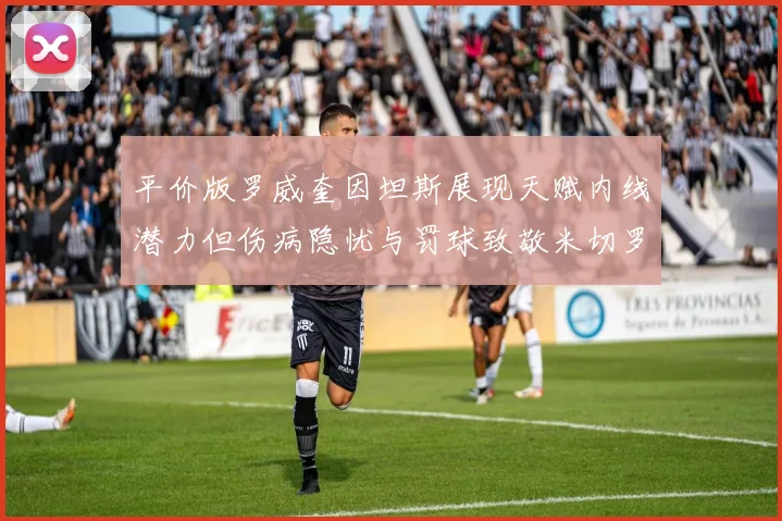 平价版罗威奎因坦斯展现天赋内线潜力但伤病隐忧与罚球致敬米切罗