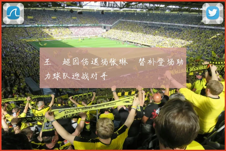 王燊超因伤退场张琳芃替补登场助力球队迎战对手